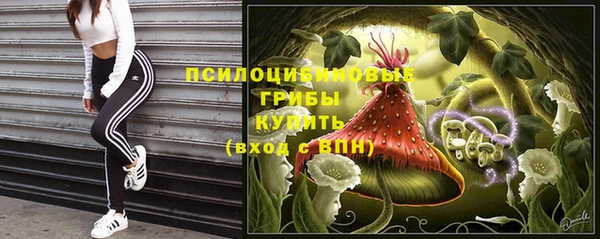 MESCALINE Аркадак