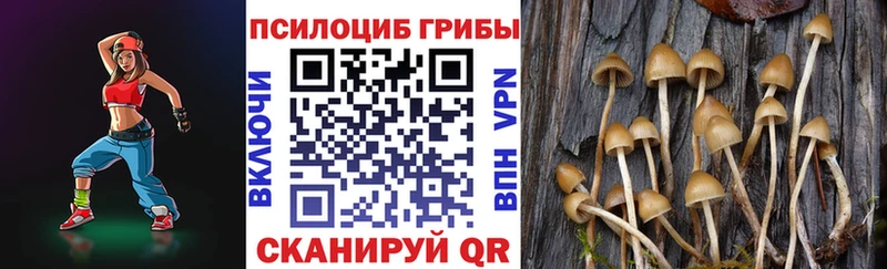Псилоцибиновые грибы Cubensis  Верхнеуральск 